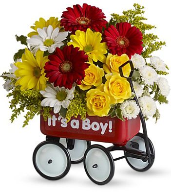 Baby's Wow Wagon by Teleflora